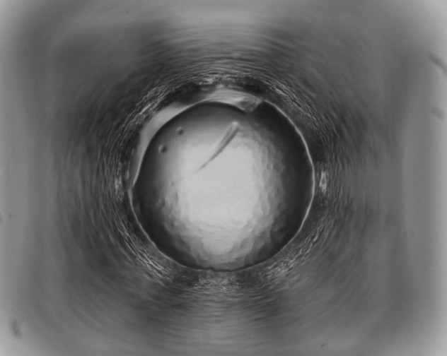 X0000098010771200803281311