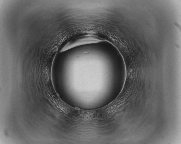 X0000098010772200803281311