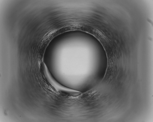 X0000098010773200803281311