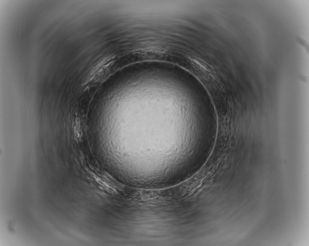 X0000098010774200803281311