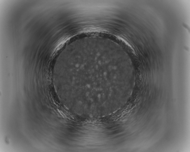 X0000098010775200803281311