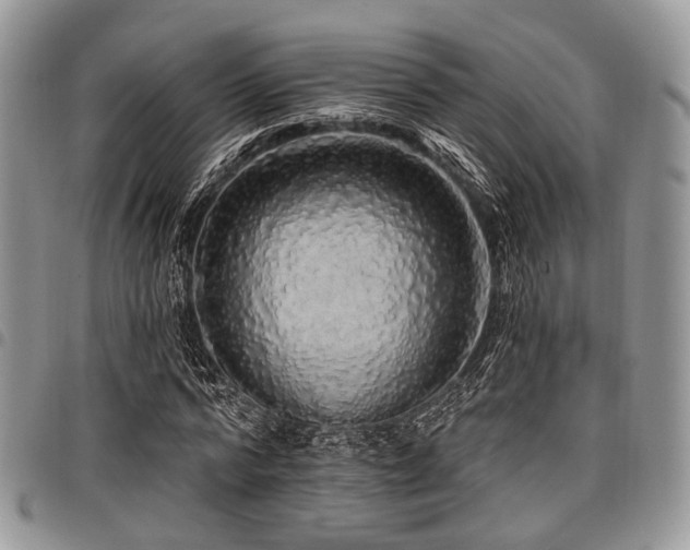 X0000098010776200803281311