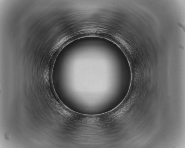 X0000098010778200803281311