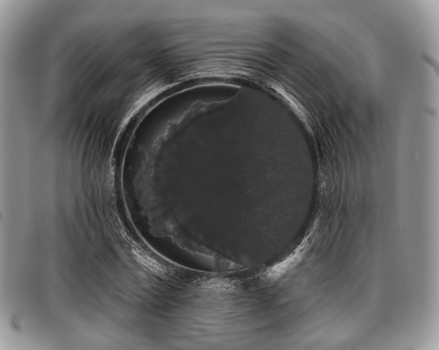 X0000098010779200803281311