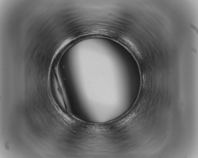 X0000098010780200803281311