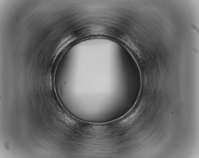 X0000098010782200803281311