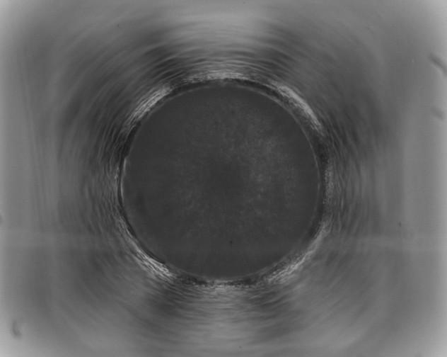 X0000098010785200803281311