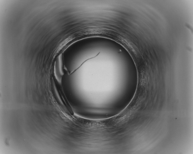 X0000098010786200803281311