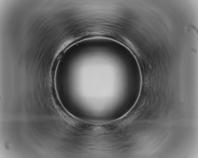 X0000098010787200803281311