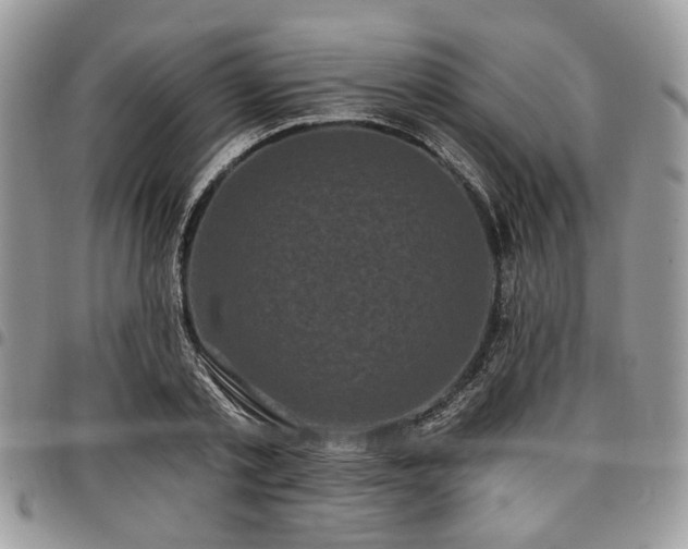 X0000098010789200803281311