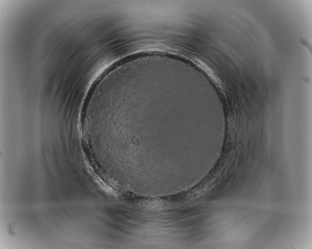 X0000098010791200803281311