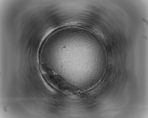 X0000098010792200803281311