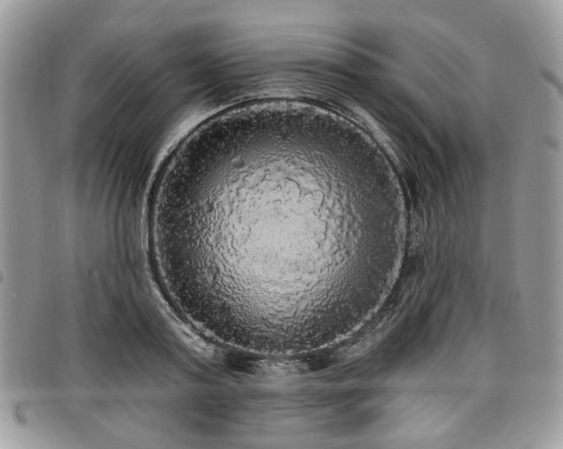 X0000098010795200803281311