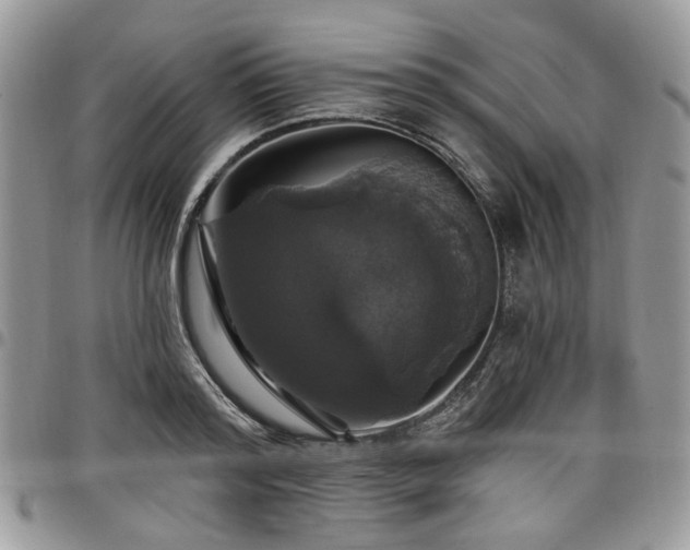 X0000098010796200803281311