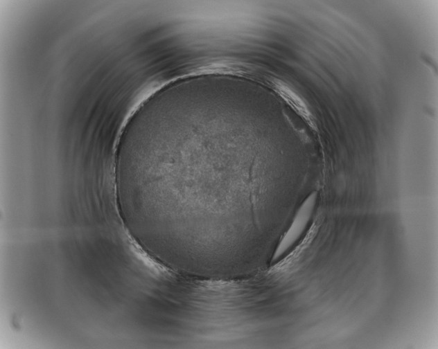 X0000098010800200803281311