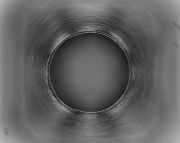 X0000098010802200803281311