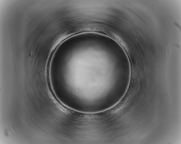 X0000098010803200803281311