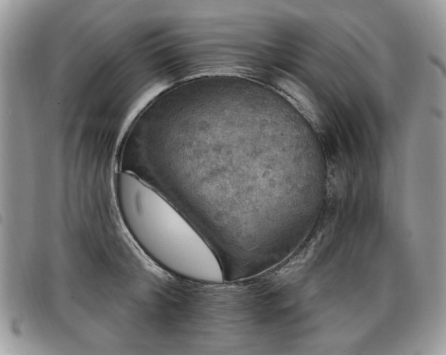 X0000098010804200803281311