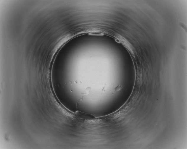 X0000098010805200803281311