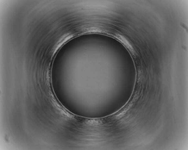 X0000098010806200803281311