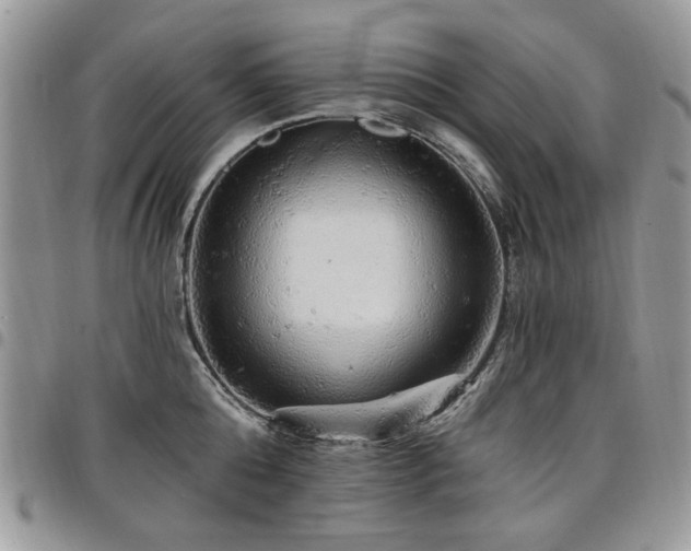 X0000098010808200803281311