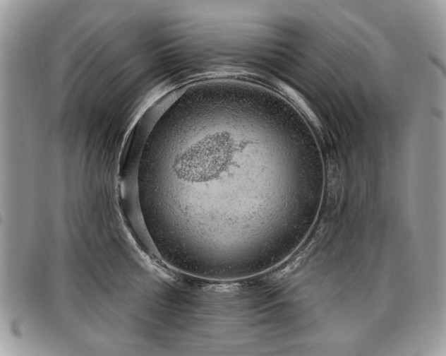 X0000098010810200803281311