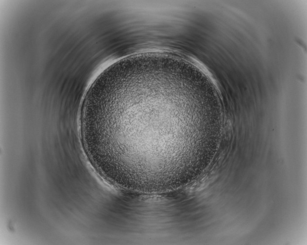 X0000098010811200803281311