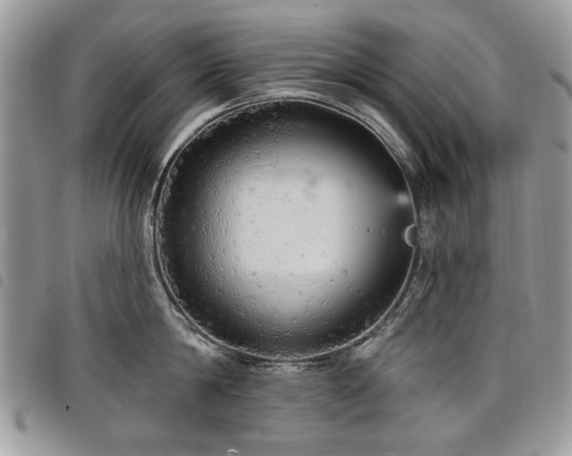 X0000098010814200803281311