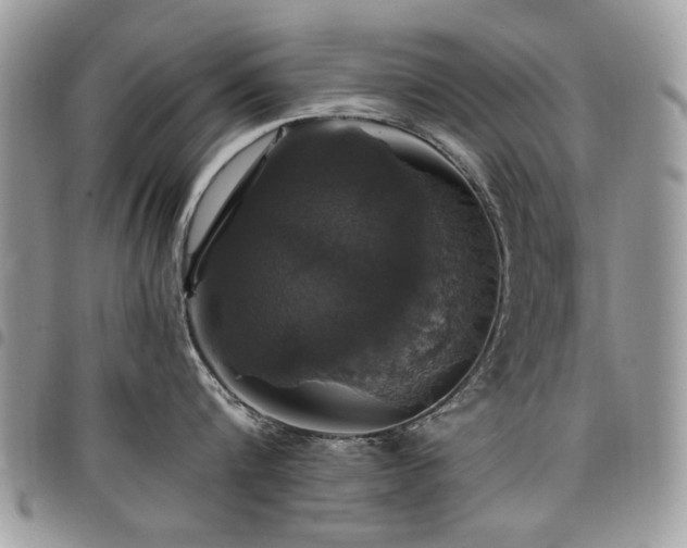 X0000098010816200803281311