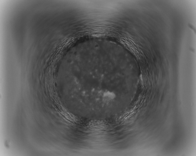 X0000098010817200803281310