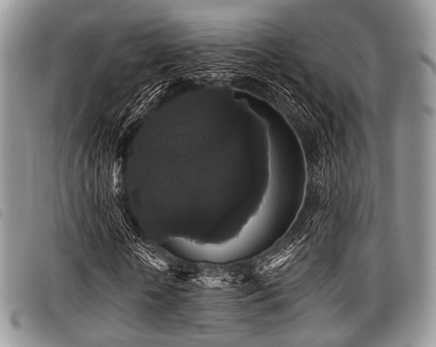 X0000098010818200803281310