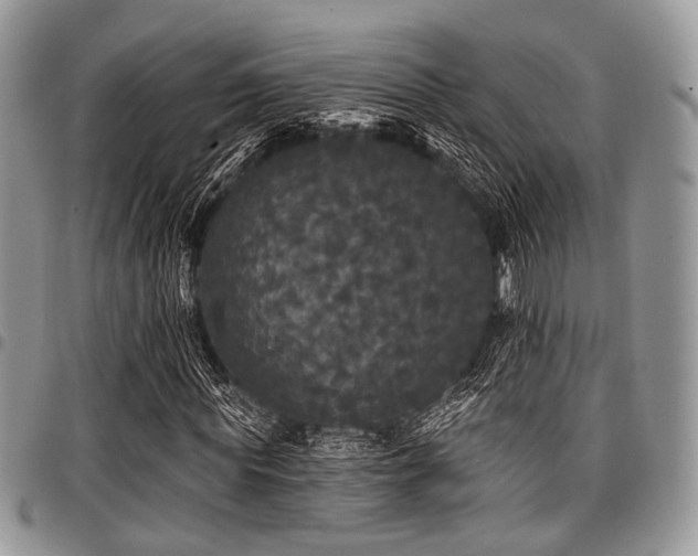 X0000098010819200803281310