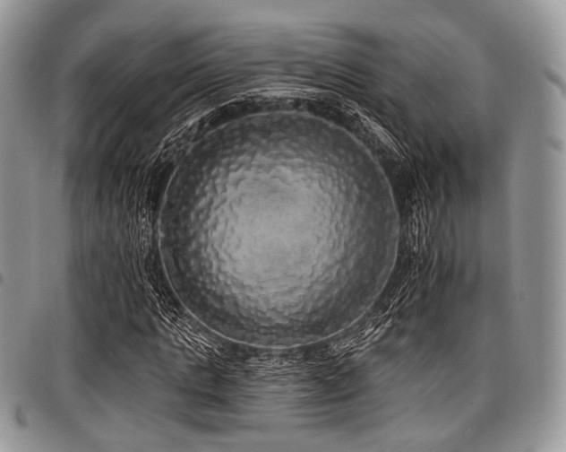 X0000098010821200803281310