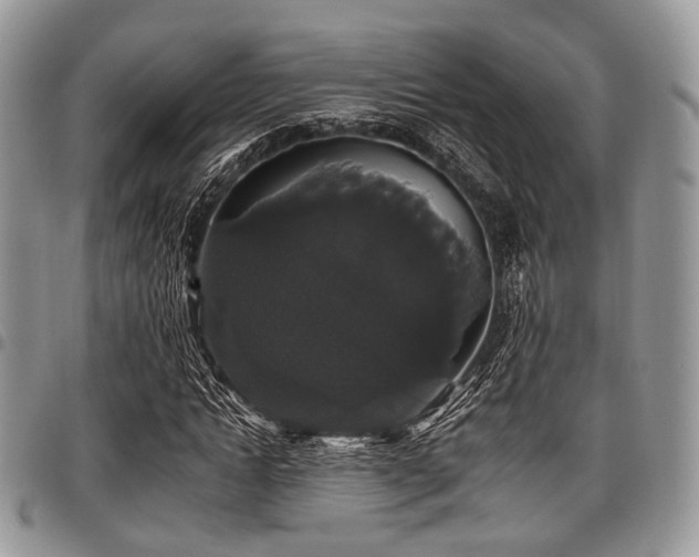 X0000098010822200803281310