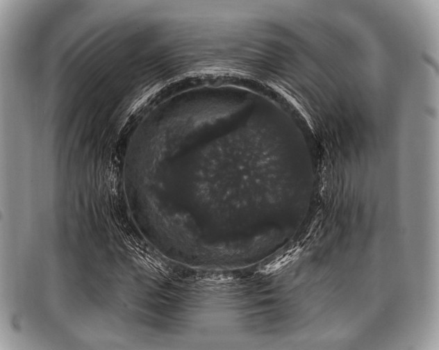 X0000098010823200803281310