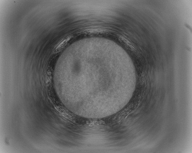 X0000098010824200803281310