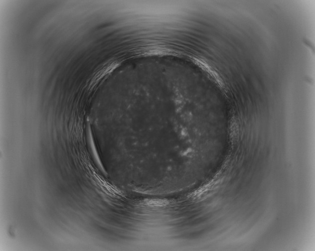 X0000098010825200803281310