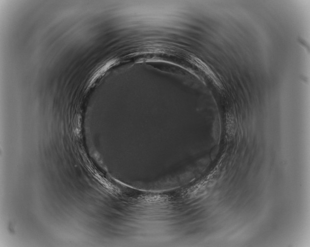 X0000098010826200803281310