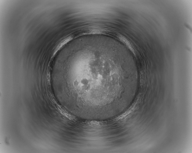 X0000098010827200803281310