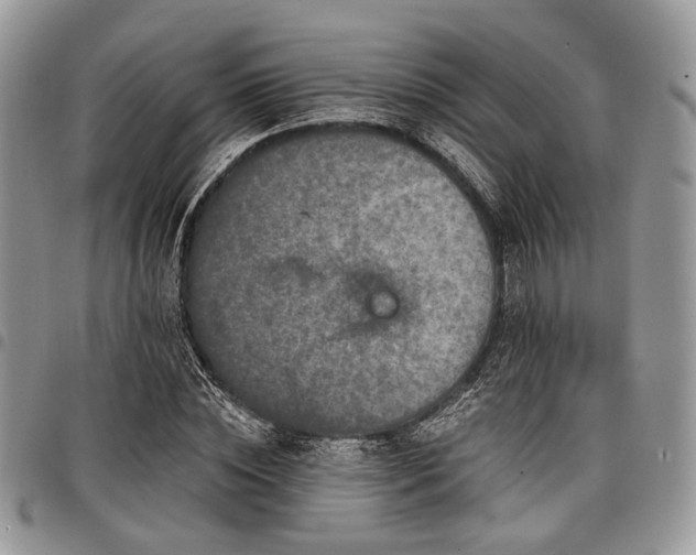 X0000098010828200803281310