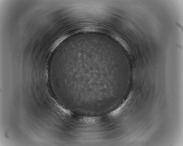 X0000098010829200803281310