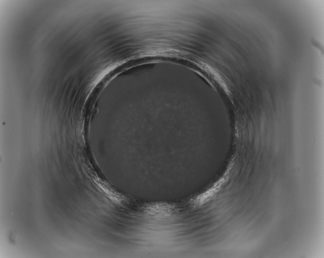 X0000098010830200803281310