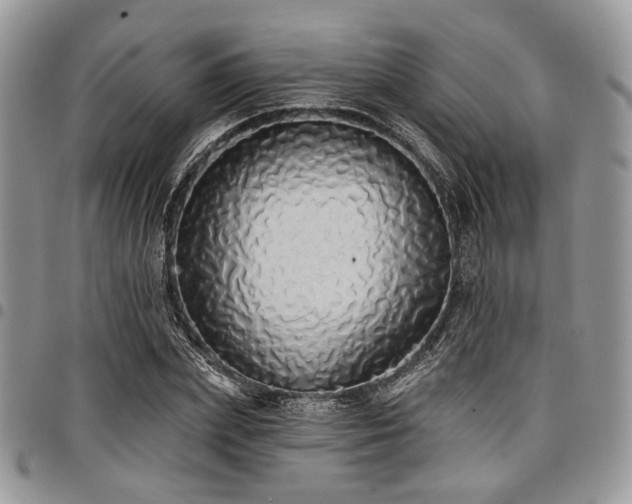 X0000098010831200803281310