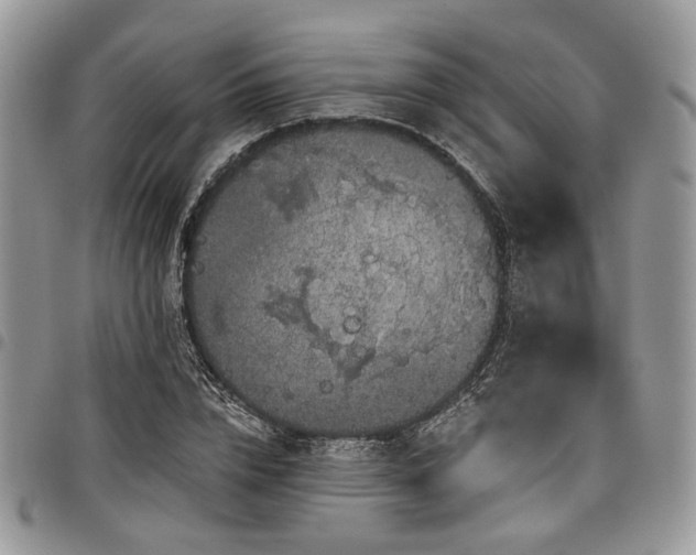 X0000098010832200803281310