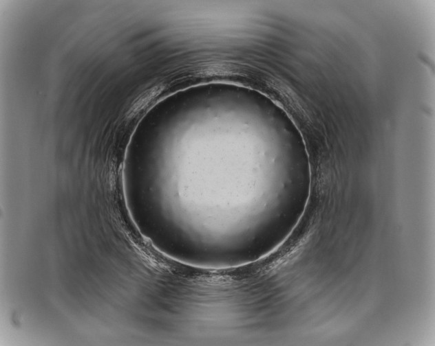 X0000098010833200803281310