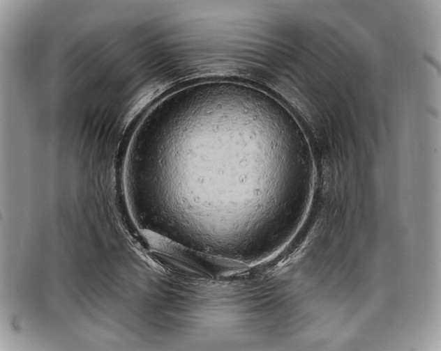 X0000098010834200803281310