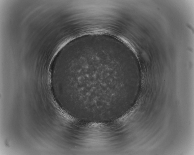 X0000098010835200803281310