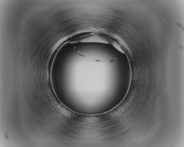 X0000098010837200803281310