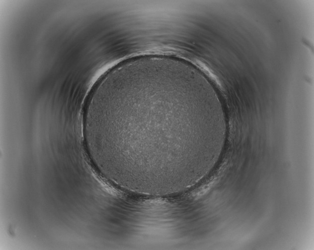 X0000098010838200803281310