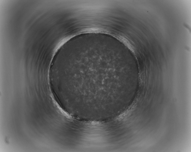 X0000098010839200803281310